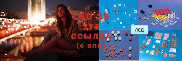 индика Гусиноозёрск