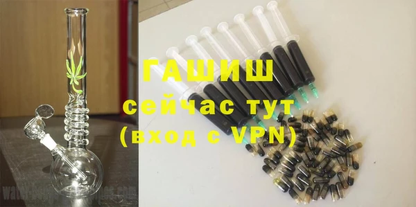 индика Гусиноозёрск
