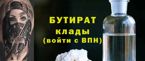 индика Гусиноозёрск