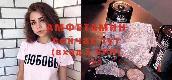индика Гусиноозёрск