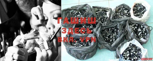 индика Гусиноозёрск