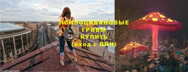 a pvp Гусев
