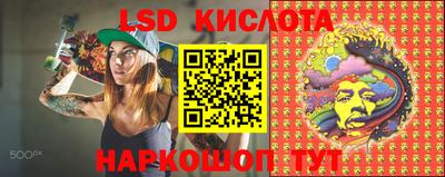 шишки Гагарин