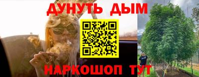 шишки Гагарин