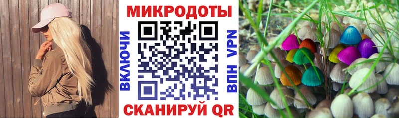 Псилоцибиновые грибы MAGIC MUSHROOMS  купить наркотик  Гусь-Хрустальный 