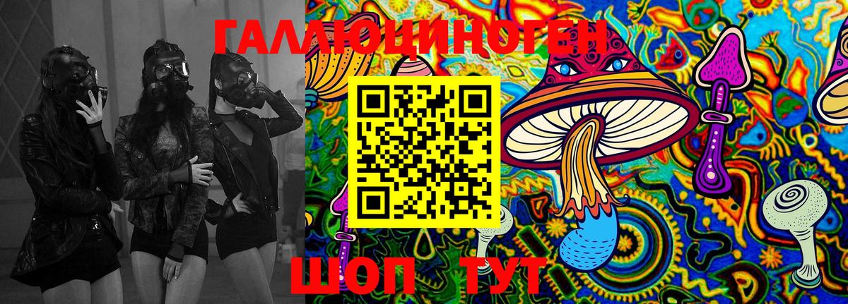 Псилоцибиновые грибы Cubensis  Вход с VPN  Псилоцибиновые грибы GOLDEN TEACHER  Гусь-Хрустальный 